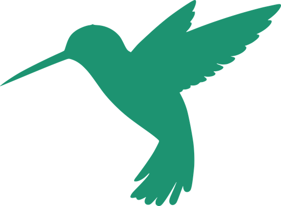 Colibrí Jacobino